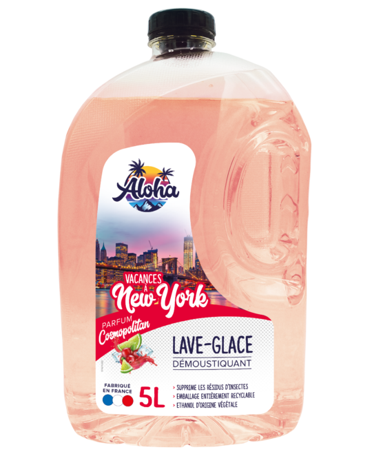 Vacation in New-York