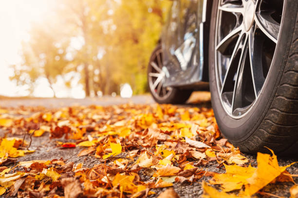 L’entretien de routine de votre voiture en automne