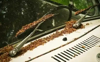 Your wiper blades put to the test this fall : rain, mud, and pollution