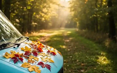 A windshield washer fluid suitable for your autumn road trips