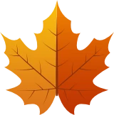 Application Drivvo