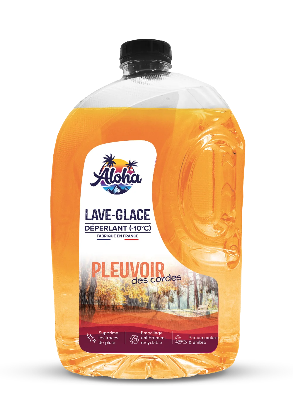 lave-glace dégivrant hiver