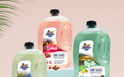 Lave-glace maison vs industriel : lequel choisir ?