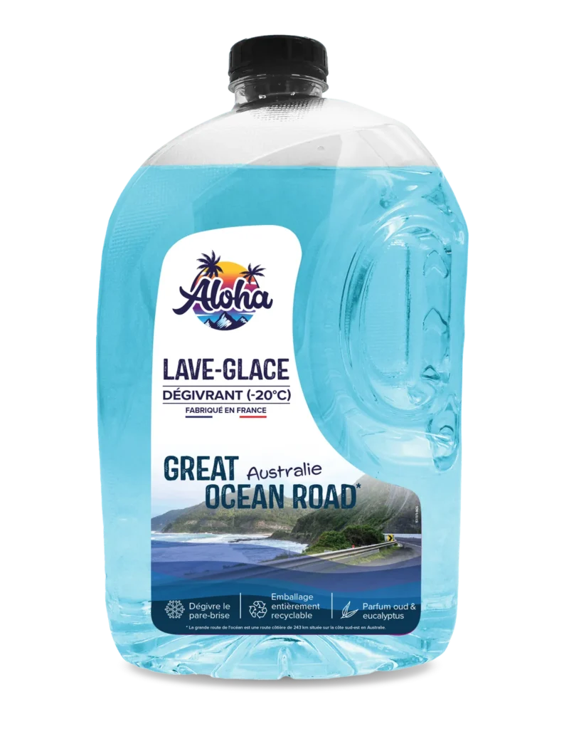 lave-glace dégivrant